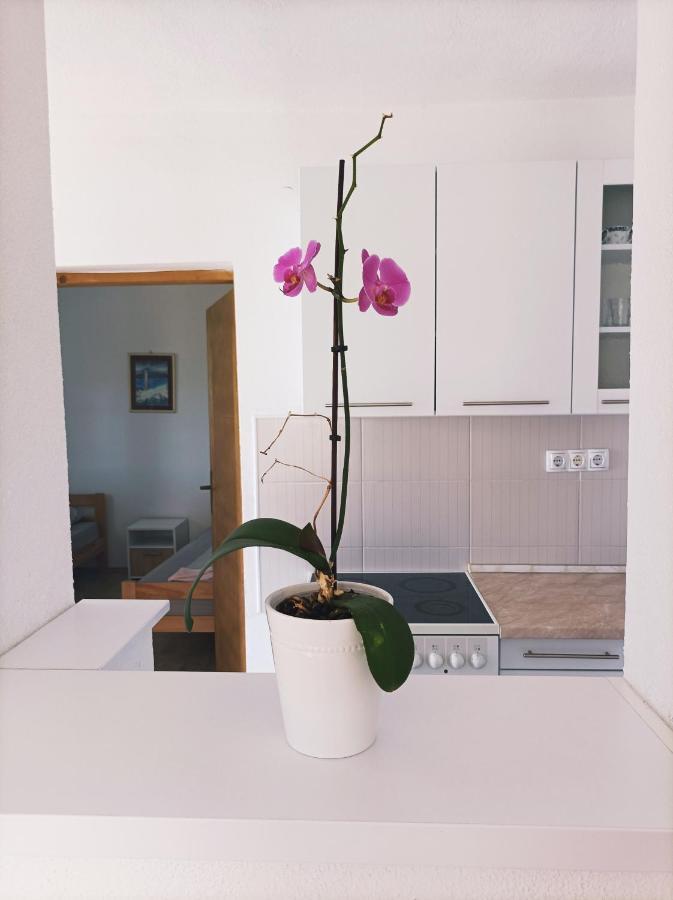 Dina Apartman Jablanicko Jezero คอนยิค ภายนอก รูปภาพ