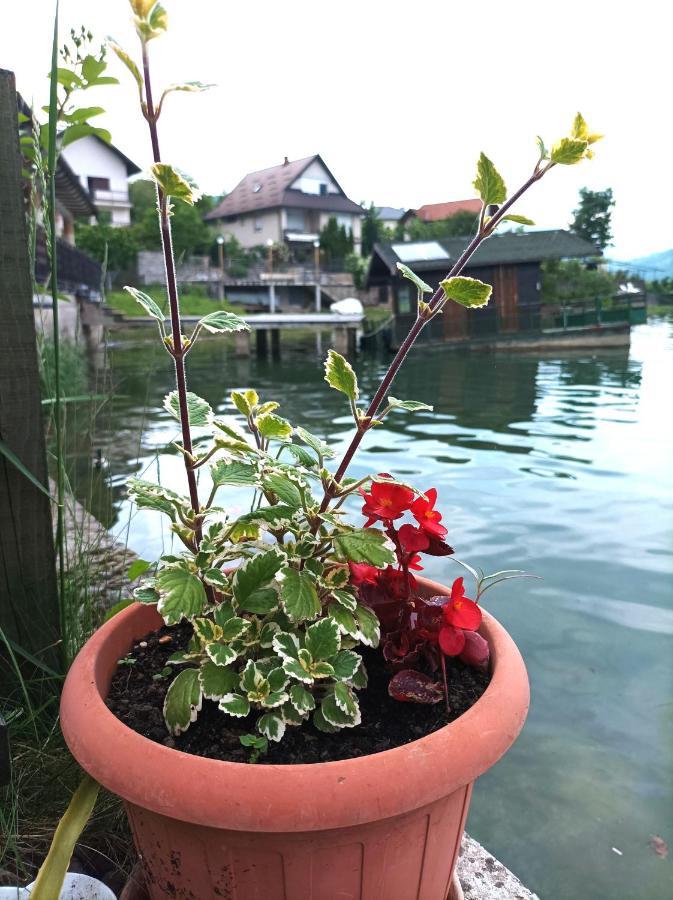 Dina Apartman Jablanicko Jezero คอนยิค ภายนอก รูปภาพ