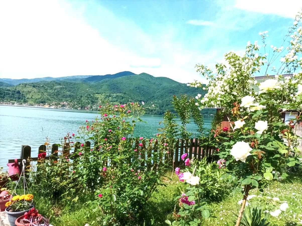 Dina Apartman Jablanicko Jezero คอนยิค ภายนอก รูปภาพ